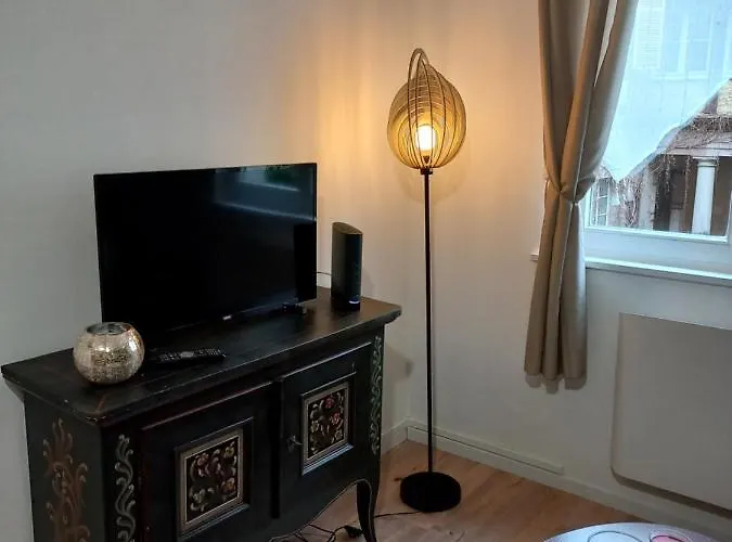 Le Passage Cocooning A Centre Touristique アパート コルマール