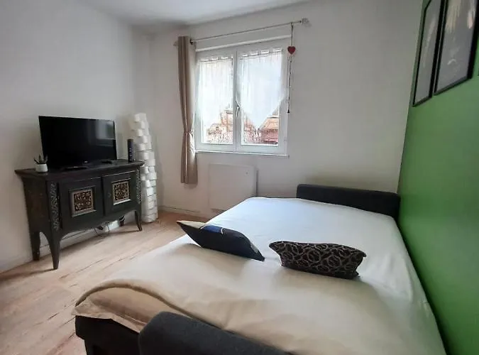 Appartamento Le Passage Cocooning à Centre Touristique Colmar