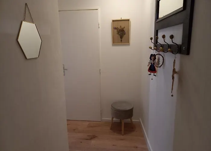 Le Passage Cocooning A Centre Touristique * コルマール