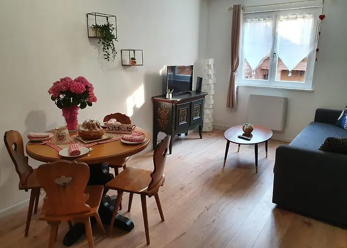 Le Passage Cocooning A Centre Touristique アパート コルマール