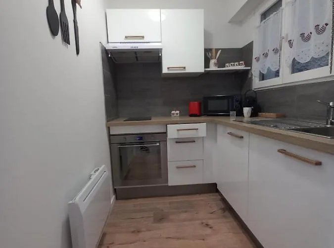 アパート Le Passage Cocooning A Centre Touristique コルマール